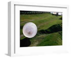 Zorbs People Moving Inside Balls on Lawn, Rotorua, New Zealand-John Banagan-Framed Photographic Print