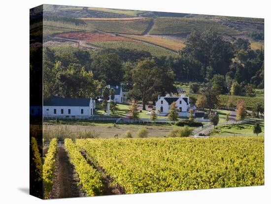 Zorgvliet Wine Estate, Stellenbosch, Cape Province, South Africa, Africa-Sergio Pitamitz-Stretched Canvas