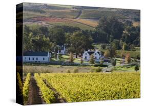 Zorgvliet Wine Estate, Stellenbosch, Cape Province, South Africa, Africa-Sergio Pitamitz-Stretched Canvas