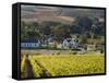 Zorgvliet Wine Estate, Stellenbosch, Cape Province, South Africa, Africa-Sergio Pitamitz-Framed Stretched Canvas