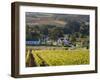 Zorgvliet Wine Estate, Stellenbosch, Cape Province, South Africa, Africa-Sergio Pitamitz-Framed Premium Photographic Print