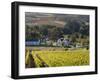 Zorgvliet Wine Estate, Stellenbosch, Cape Province, South Africa, Africa-Sergio Pitamitz-Framed Premium Photographic Print