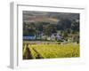 Zorgvliet Wine Estate, Stellenbosch, Cape Province, South Africa, Africa-Sergio Pitamitz-Framed Premium Photographic Print