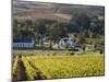 Zorgvliet Wine Estate, Stellenbosch, Cape Province, South Africa, Africa-Sergio Pitamitz-Mounted Premium Photographic Print