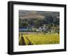 Zorgvliet Wine Estate, Stellenbosch, Cape Province, South Africa, Africa-Sergio Pitamitz-Framed Photographic Print