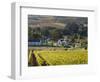 Zorgvliet Wine Estate, Stellenbosch, Cape Province, South Africa, Africa-Sergio Pitamitz-Framed Photographic Print