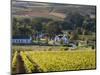 Zorgvliet Wine Estate, Stellenbosch, Cape Province, South Africa, Africa-Sergio Pitamitz-Mounted Photographic Print