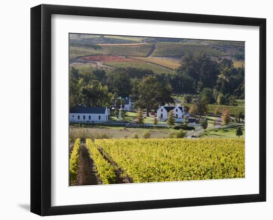 Zorgvliet Wine Estate, Stellenbosch, Cape Province, South Africa, Africa-Sergio Pitamitz-Framed Photographic Print
