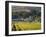 Zorgvliet Wine Estate, Stellenbosch, Cape Province, South Africa, Africa-Sergio Pitamitz-Framed Photographic Print