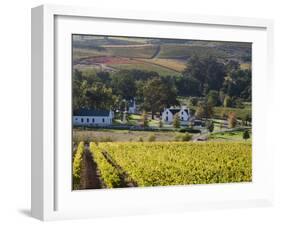 Zorgvliet Wine Estate, Stellenbosch, Cape Province, South Africa, Africa-Sergio Pitamitz-Framed Photographic Print