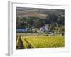 Zorgvliet Wine Estate, Stellenbosch, Cape Province, South Africa, Africa-Sergio Pitamitz-Framed Photographic Print