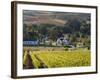 Zorgvliet Wine Estate, Stellenbosch, Cape Province, South Africa, Africa-Sergio Pitamitz-Framed Photographic Print