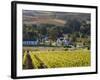 Zorgvliet Wine Estate, Stellenbosch, Cape Province, South Africa, Africa-Sergio Pitamitz-Framed Photographic Print