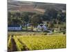 Zorgvliet Wine Estate, Stellenbosch, Cape Province, South Africa, Africa-Sergio Pitamitz-Mounted Photographic Print