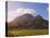 Zorgvliet Wine Estate, Stellenbosch, Cape Province, South Africa, Africa-Sergio Pitamitz-Stretched Canvas