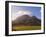 Zorgvliet Wine Estate, Stellenbosch, Cape Province, South Africa, Africa-Sergio Pitamitz-Framed Photographic Print