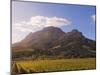 Zorgvliet Wine Estate, Stellenbosch, Cape Province, South Africa, Africa-Sergio Pitamitz-Mounted Photographic Print