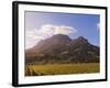 Zorgvliet Wine Estate, Stellenbosch, Cape Province, South Africa, Africa-Sergio Pitamitz-Framed Photographic Print