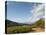 Zorgvliet Wine Estate, Stellenbosch, Cape Province, South Africa, Africa-Sergio Pitamitz-Stretched Canvas