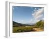 Zorgvliet Wine Estate, Stellenbosch, Cape Province, South Africa, Africa-Sergio Pitamitz-Framed Photographic Print