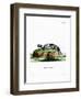 Zorilla-null-Framed Premium Giclee Print