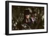 Zorro by Duccio Tessari with Alain Delon, 1975 (photo)-null-Framed Photo