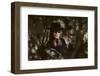 Zorro by Duccio Tessari with Alain Delon, 1975 (photo)-null-Framed Photo