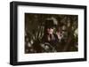 Zorro by Duccio Tessari with Alain Delon, 1975 (photo)-null-Framed Photo