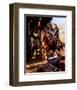 Zorro-null-Framed Photo