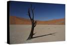 Stretched Canvas