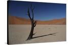 Stretched Canvas