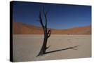 Stretched Canvas