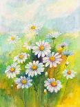 Daisies in a Flower-ZPR Int’L-Giclee Print