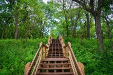 Trails at Indiana Dunes National Park-zrfphoto-Photographic Print