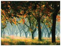 Fall Forest-Zsolnai-Art Print