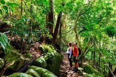 Couple Exploring in the Lush Lamington National Park, Queensland-zstockphotos-Photographic Print