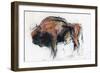 Zubre, Bialowieza-Mark Adlington-Framed Giclee Print