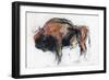 Zubre, Bialowieza-Mark Adlington-Framed Giclee Print