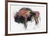 Zubre, Bialowieza-Mark Adlington-Framed Giclee Print