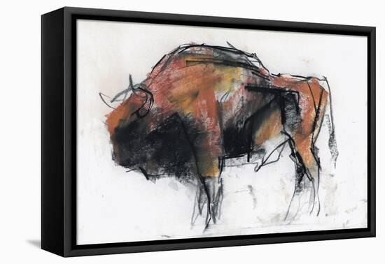 Zubre, Bialowieza-Mark Adlington-Framed Stretched Canvas