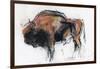 Zubre, Bialowieza-Mark Adlington-Framed Giclee Print