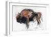 Zubre, Bialowieza-Mark Adlington-Framed Giclee Print
