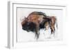 Zubre, Bialowieza-Mark Adlington-Framed Giclee Print