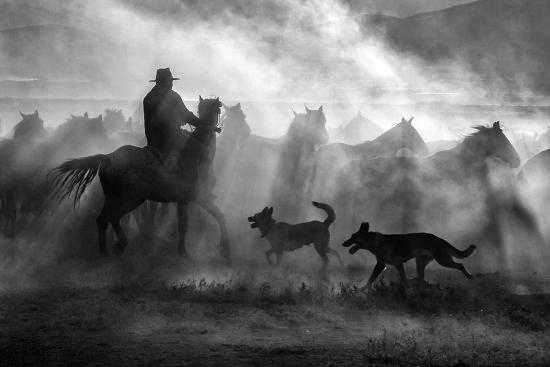 Premium Photographic Print, , large