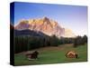 Zugspitze and Barns at Dusk, Wetterstein, Austrian Alps, Austria, Europe-Jochen Schlenker-Stretched Canvas