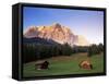 Zugspitze and Barns at Dusk, Wetterstein, Austrian Alps, Austria, Europe-Jochen Schlenker-Framed Stretched Canvas