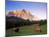 Zugspitze and Barns at Dusk, Wetterstein, Austrian Alps, Austria, Europe-Jochen Schlenker-Mounted Photographic Print