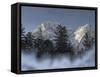 Zugspitze, Lake Eibsee, Werdenfelser Land, Garmisch-Partenkirchen, Bavaria Germany-Martin Zwick-Framed Stretched Canvas