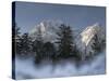 Zugspitze, Lake Eibsee, Werdenfelser Land, Garmisch-Partenkirchen, Bavaria Germany-Martin Zwick-Stretched Canvas