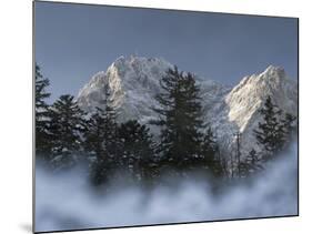 Zugspitze, Lake Eibsee, Werdenfelser Land, Garmisch-Partenkirchen, Bavaria Germany-Martin Zwick-Mounted Photographic Print